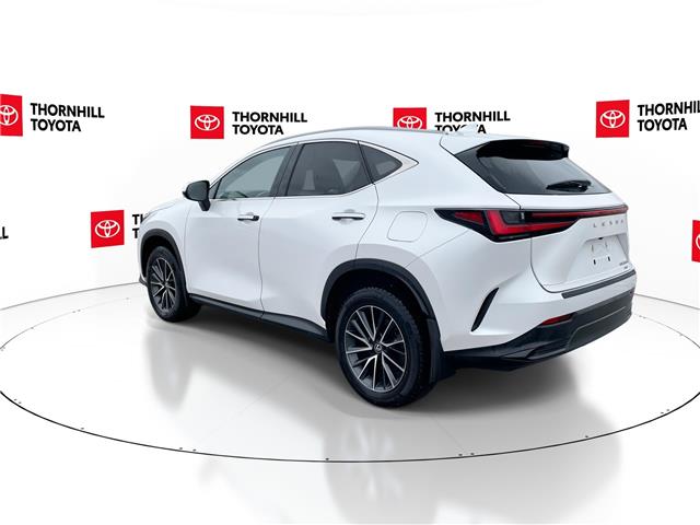 2025 Lexus NX 350h Base (Stk: 12108125A) in Concord - Image 7 of 18