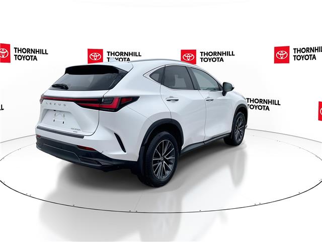 2025 Lexus NX 350h Base (Stk: 12108125A) in Concord - Image 9 of 18