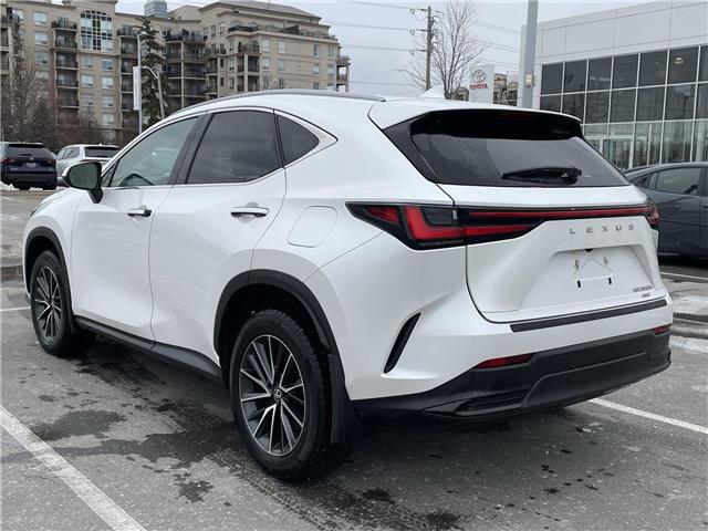 2025 Lexus NX 350h Base (Stk: 12108125A) in Concord - Image 12 of 18