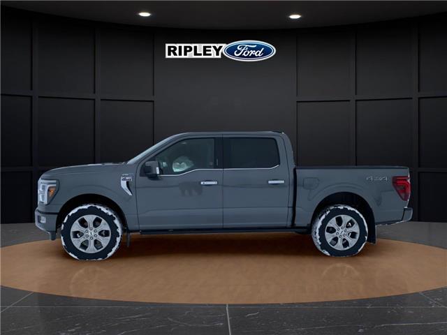 2026 Ford F-150 Platinum (Stk: 26068) in Melfort - Image 12 of 23