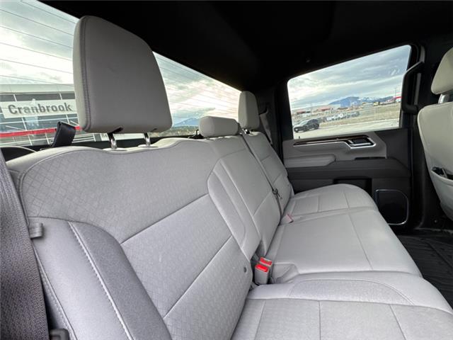 2025 GMC Sierra 3500HD SLE (Stk: F171855K) in Cranbrook - Image 12 of 21