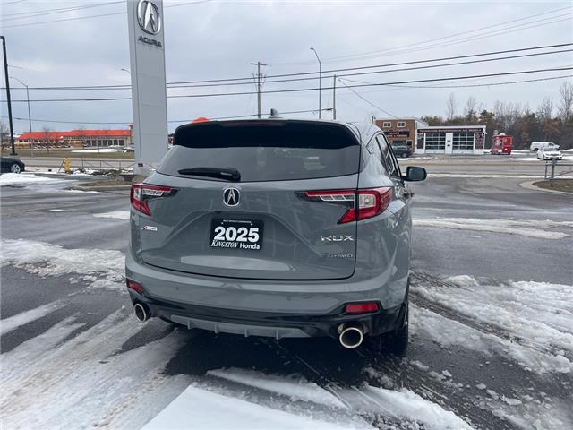 2025 Acura RDX Platinum Elite A-Spec (Stk: R029) in Kingston - Image 14 of 22