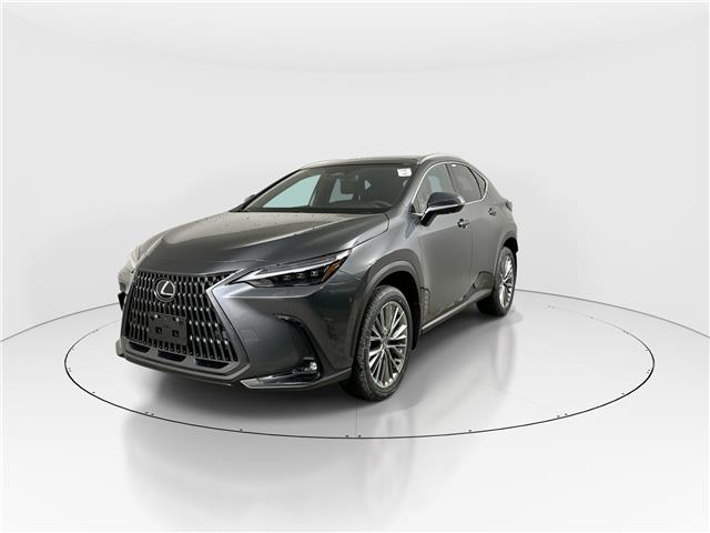 2026 Lexus NX 350h  (Stk: 14112229) in Markham - Image 3 of 20