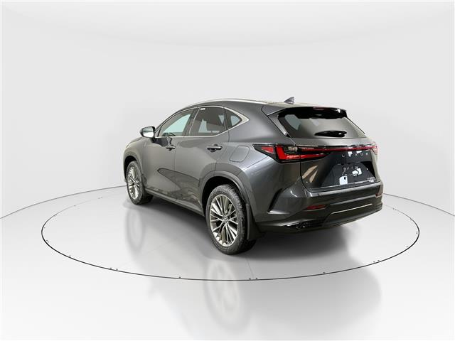 2026 Lexus NX 350h  (Stk: 14112229) in Markham - Image 5 of 20
