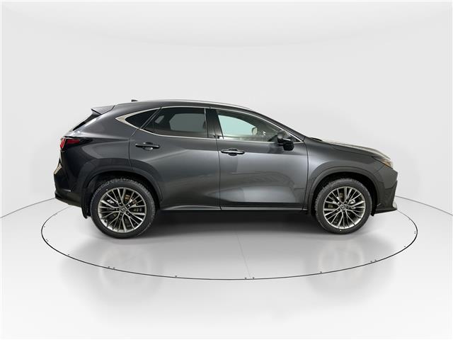 2026 Lexus NX 350h  (Stk: 14112229) in Markham - Image 8 of 20