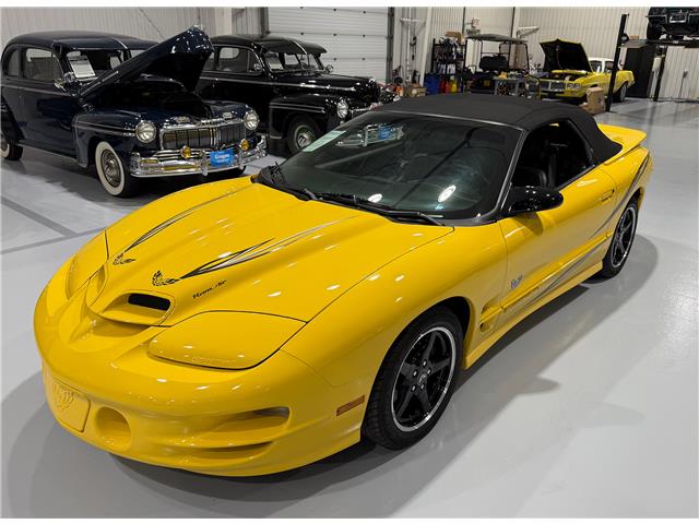 2002 Pontiac Firebird Trans Am (Stk: 122872) in Watford - Image 6 of 39