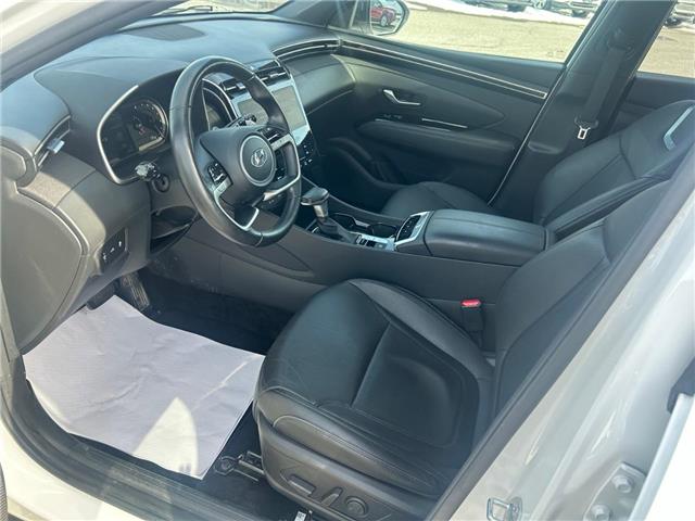 2023 Hyundai Santa Cruz Trend (Stk: 260411A) in Ottawa - Image 10 of 27