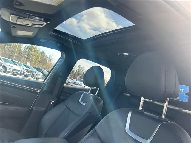 2023 Hyundai Santa Cruz Trend (Stk: 260411A) in Ottawa - Image 19 of 27