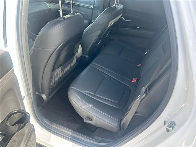 2023 Hyundai Santa Cruz Trend (Stk: 260411A) in Ottawa - Image 21 of 27