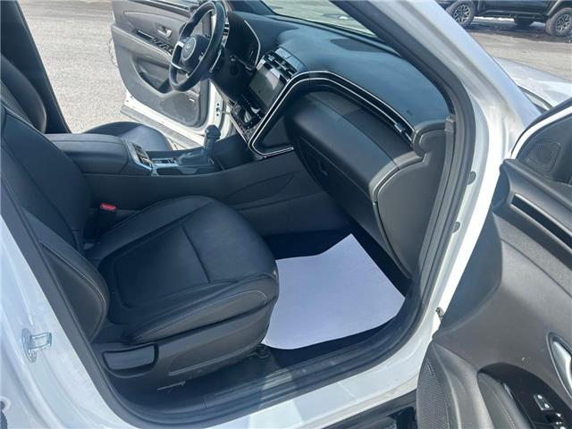 2023 Hyundai Santa Cruz Trend (Stk: 260411A) in Ottawa - Image 23 of 27