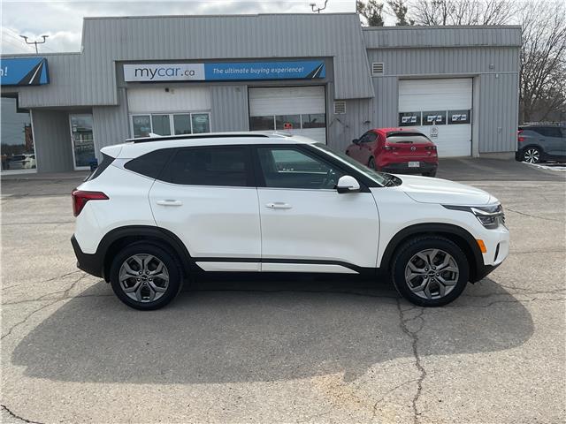 2024 Kia Seltos  (Stk: 260238) in Kingston - Image 2 of 33