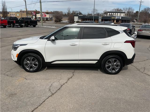 2024 Kia Seltos  (Stk: 260238) in Kingston - Image 6 of 33