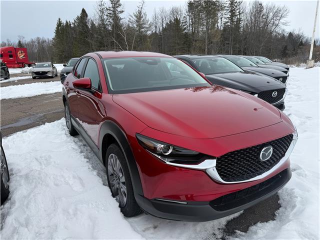 2026 Mazda CX-30 GS (Stk: 226-18) in Pembroke - Image 3 of 6