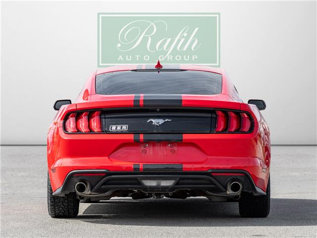 2023 Ford Mustang  (Stk: 26M4771A) in Mississauga - Image 9 of 28