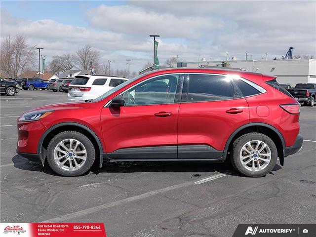 2022 Ford Escape SE (Stk: 62614) in Essex-Windsor - Image 3 of 31