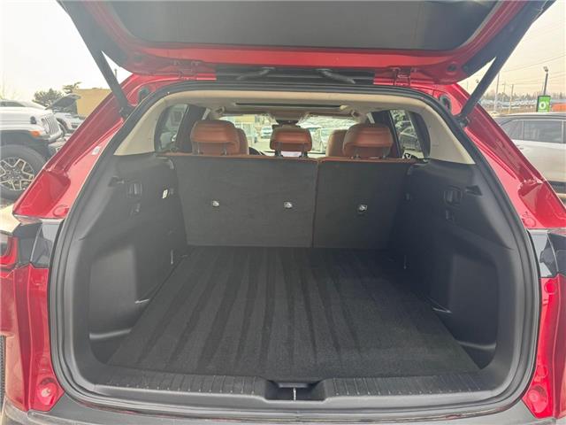 2023 Mazda CX-50 GT (Stk: 28356P) in Newmarket - Image 4 of 15