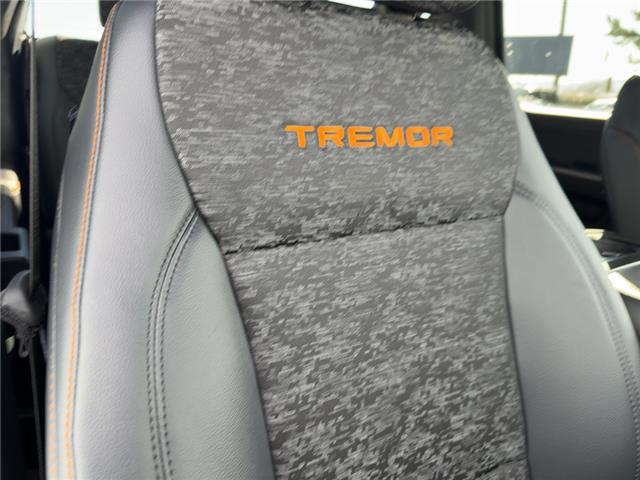 2026 Ford F-150 Tremor (Stk: 0T6210) in Kamloops - Image 20 of 25