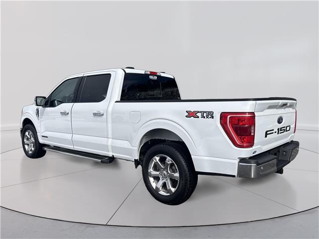 2022 Ford F-150 XLT (Stk: 5T032A) in Williams Lake - Image 4 of 13