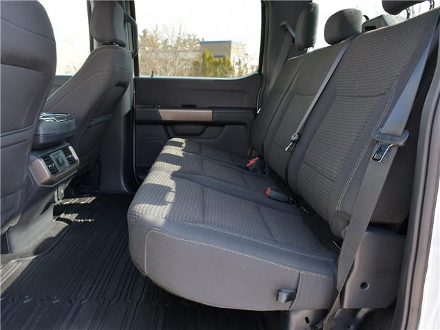 2024 Ford F-150 STX (Stk: 03316) in GEORGETOWN - Image 19 of 25