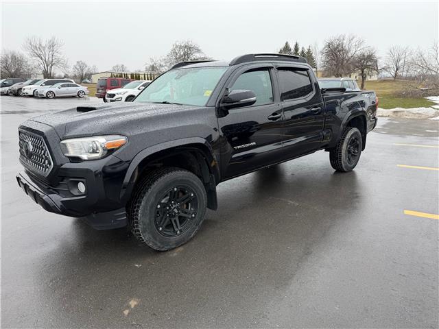 2019 Toyota Tacoma SR5 V6 (Stk: P2273) in BELLEVILLE - Image 1 of 17