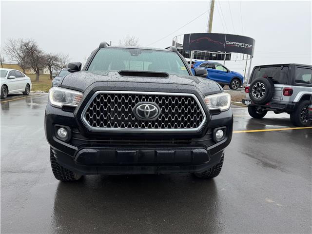 2019 Toyota Tacoma SR5 V6 (Stk: P2273) in BELLEVILLE - Image 7 of 17