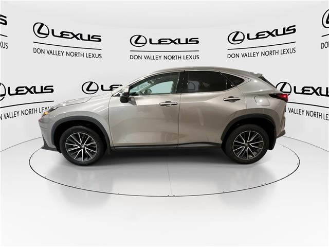 2024 Lexus NX 250  (Stk: 14111062A) in Markham - Image 6 of 25