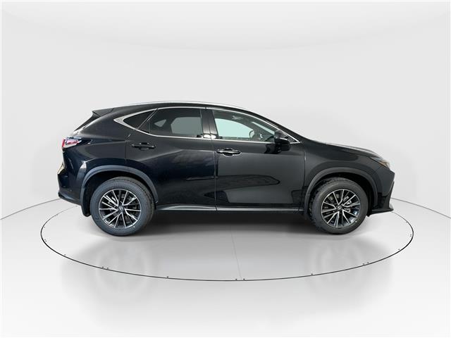 2026 Lexus NX 350  (Stk: 15105679) in Richmond Hill - Image 9 of 10