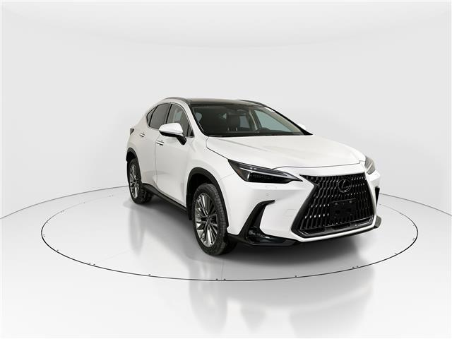 2026 Lexus NX 350  (Stk: 15105675) in Richmond Hill - Image 1 of 21