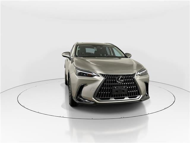 2026 Lexus NX 350h  (Stk: 15105681) in Richmond Hill - Image 2 of 19