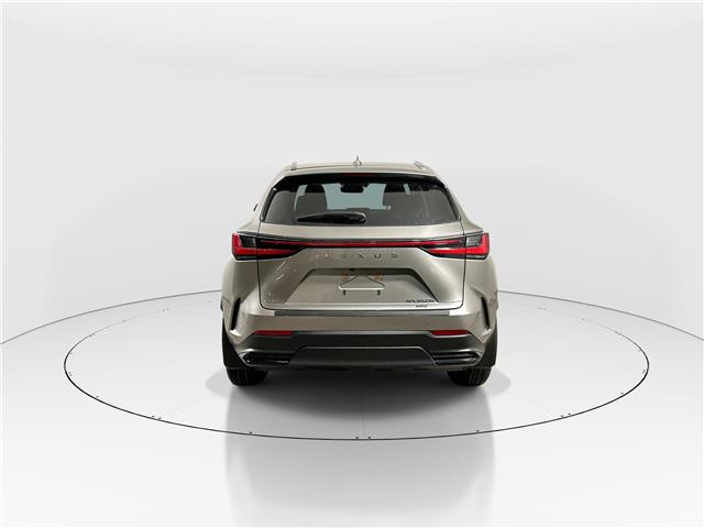 2026 Lexus NX 350h  (Stk: 15105681) in Richmond Hill - Image 6 of 19