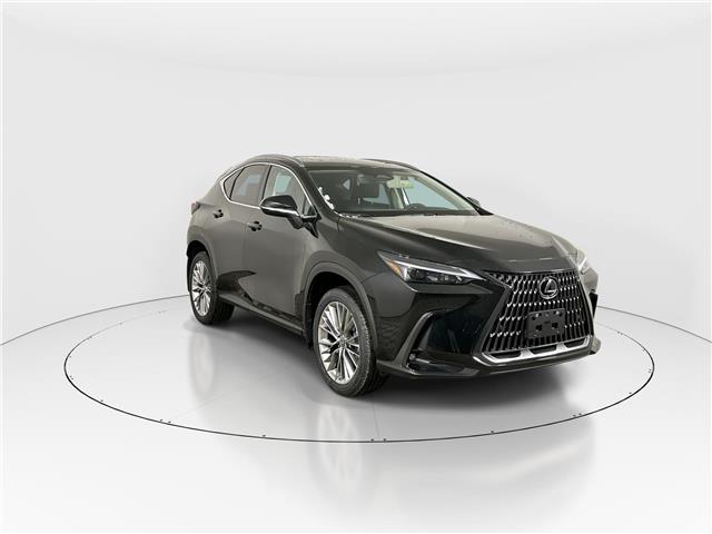 2026 Lexus NX 350h  (Stk: 15105666) in Richmond Hill - Image 1 of 19