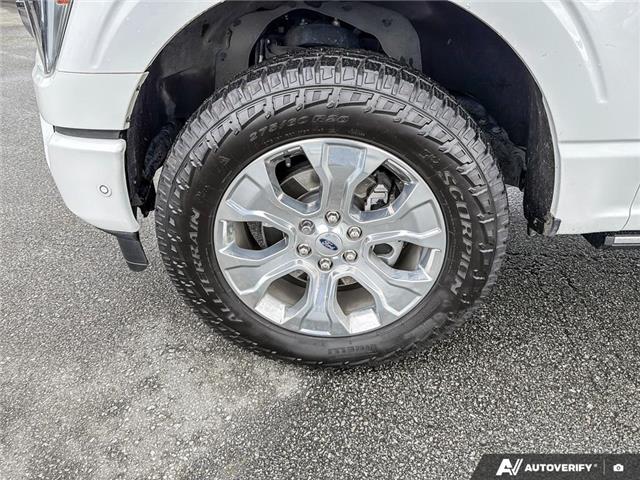 2023 Ford F-150 Platinum (Stk: T79272) in Richmond - Image 6 of 25
