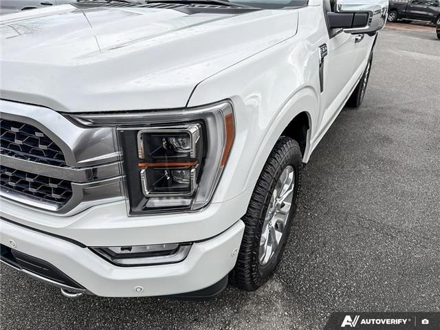 2023 Ford F-150 Platinum (Stk: T79272) in Richmond - Image 8 of 25