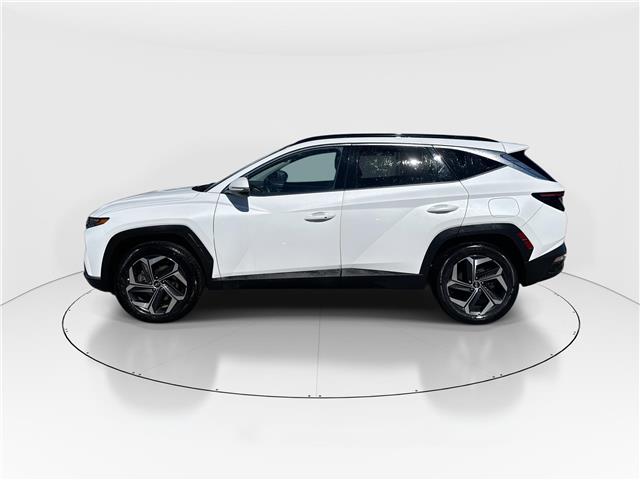 2022 Hyundai Tucson Hybrid Luxury (Stk: 16105360A) in Markham - Image 5 of 13