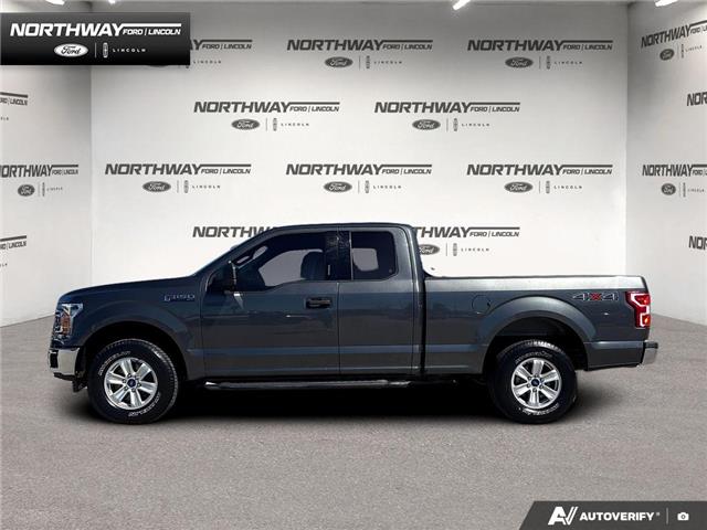 2019 Ford F-150 XLT (Stk: 6F15043A) in Brantford - Image 3 of 23