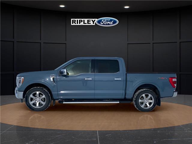 2026 Ford F-150 XLT (Stk: W3L646JT) in Melfort - Image 7 of 7