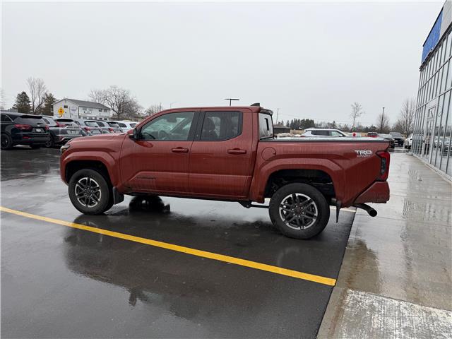 2025 Toyota Tacoma Base (Stk: P2289) in BELLEVILLE - Image 3 of 5