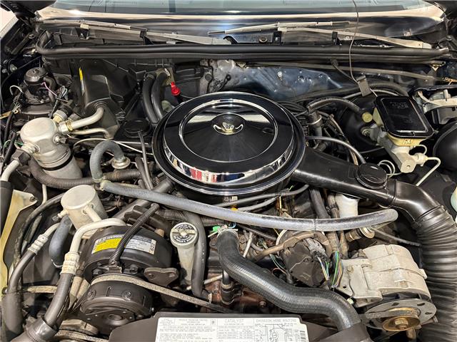 1987 Oldsmobile 442  (Stk: 328715) in Watford - Image 32 of 50