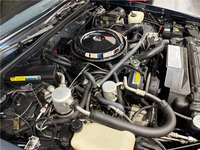 1987 Oldsmobile 442  (Stk: 328715) in Watford - Image 33 of 50