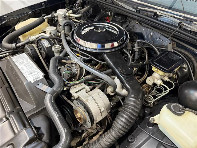 1987 Oldsmobile 442  (Stk: 328715) in Watford - Image 34 of 50