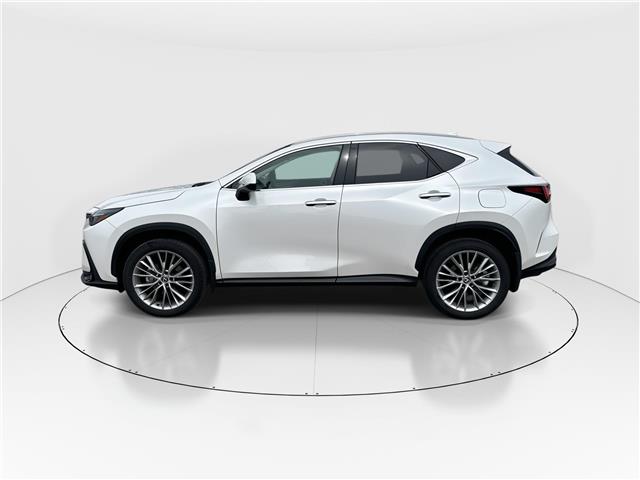 2024 Lexus NX 350 Base (Stk: 16104885A) in Markham - Image 5 of 14