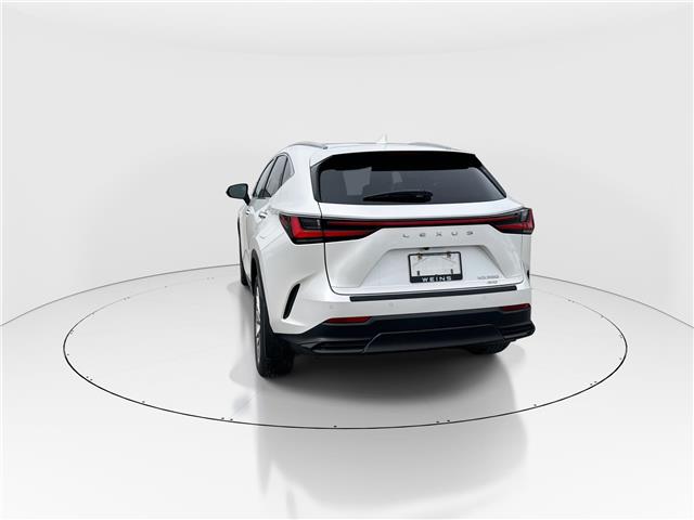 2024 Lexus NX 350 Base (Stk: 16104885A) in Markham - Image 6 of 14