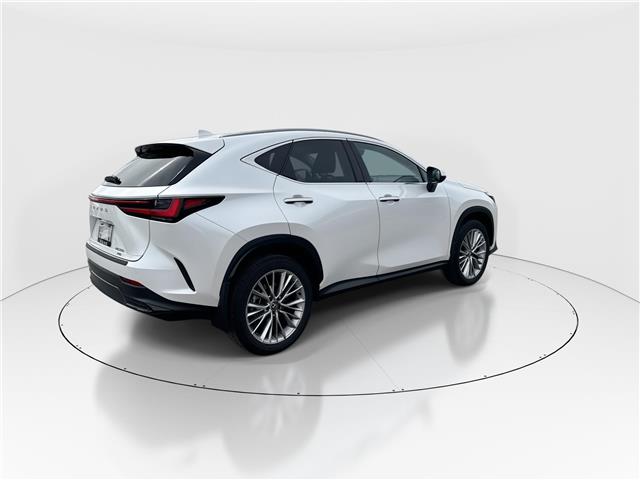 2024 Lexus NX 350 Base (Stk: 16104885A) in Markham - Image 8 of 14