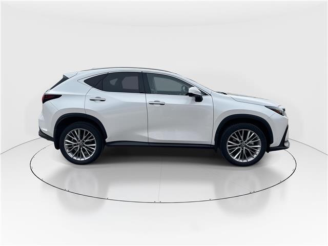 2024 Lexus NX 350 Base (Stk: 16104885A) in Markham - Image 9 of 14