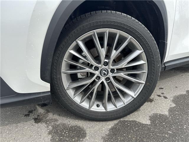 2024 Lexus NX 350 Base (Stk: 16104885A) in Markham - Image 13 of 14