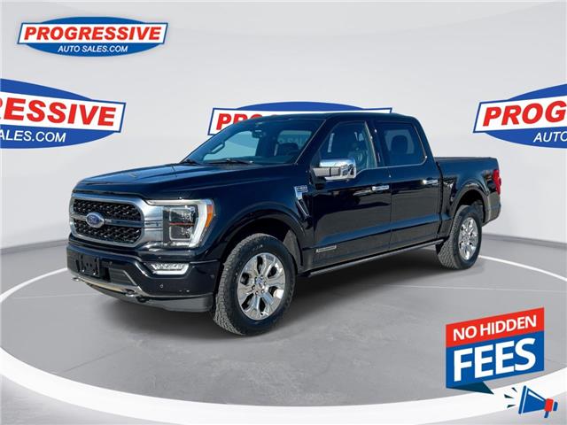 2022 Ford F-150 Platinum