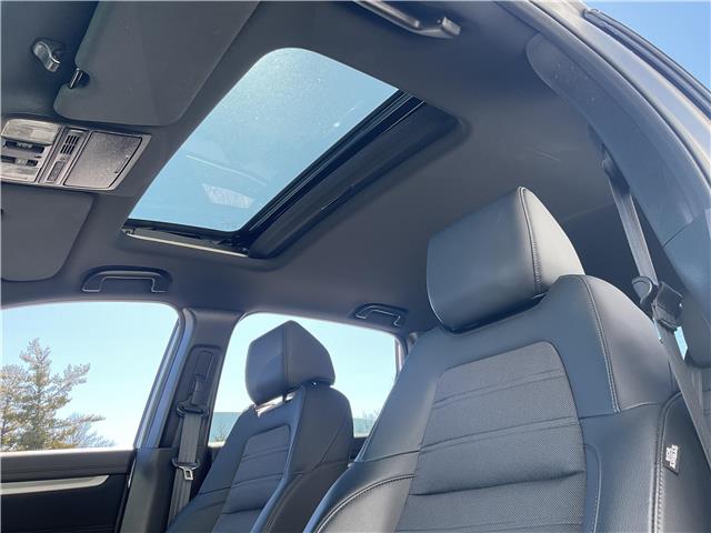 2021 Honda CR-V Sport (Stk: 260103A) in Ottawa - Image 12 of 22