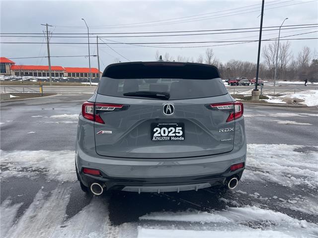 2025 Acura RDX Platinum Elite A-Spec (Stk: R029) in Kingston - Image 15 of 22