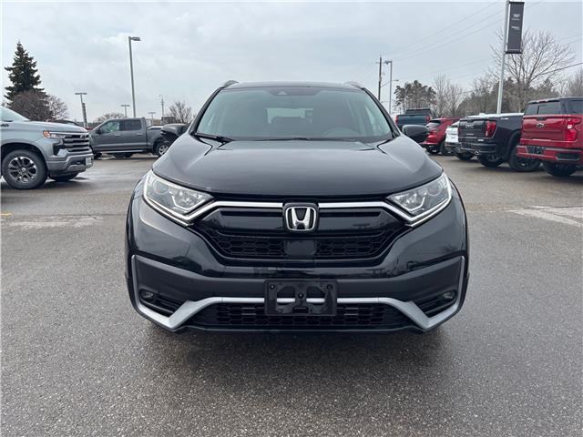 2020 Honda CR-V EX-L (Stk: 263526A) in Uxbridge - Image 2 of 10