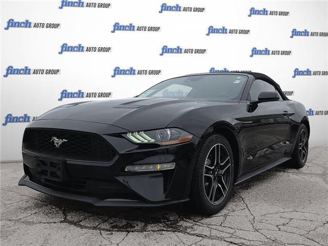 2023 Ford Mustang EcoBoost Premium 1FATP8UH1P5112106 984 in Kitchener